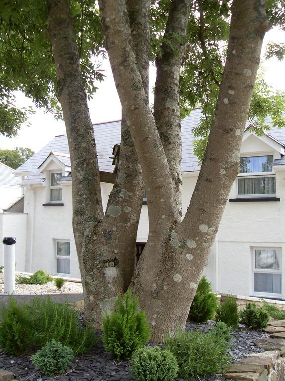 Beggars Reach Hotel Pembroke Dock Exterior photo