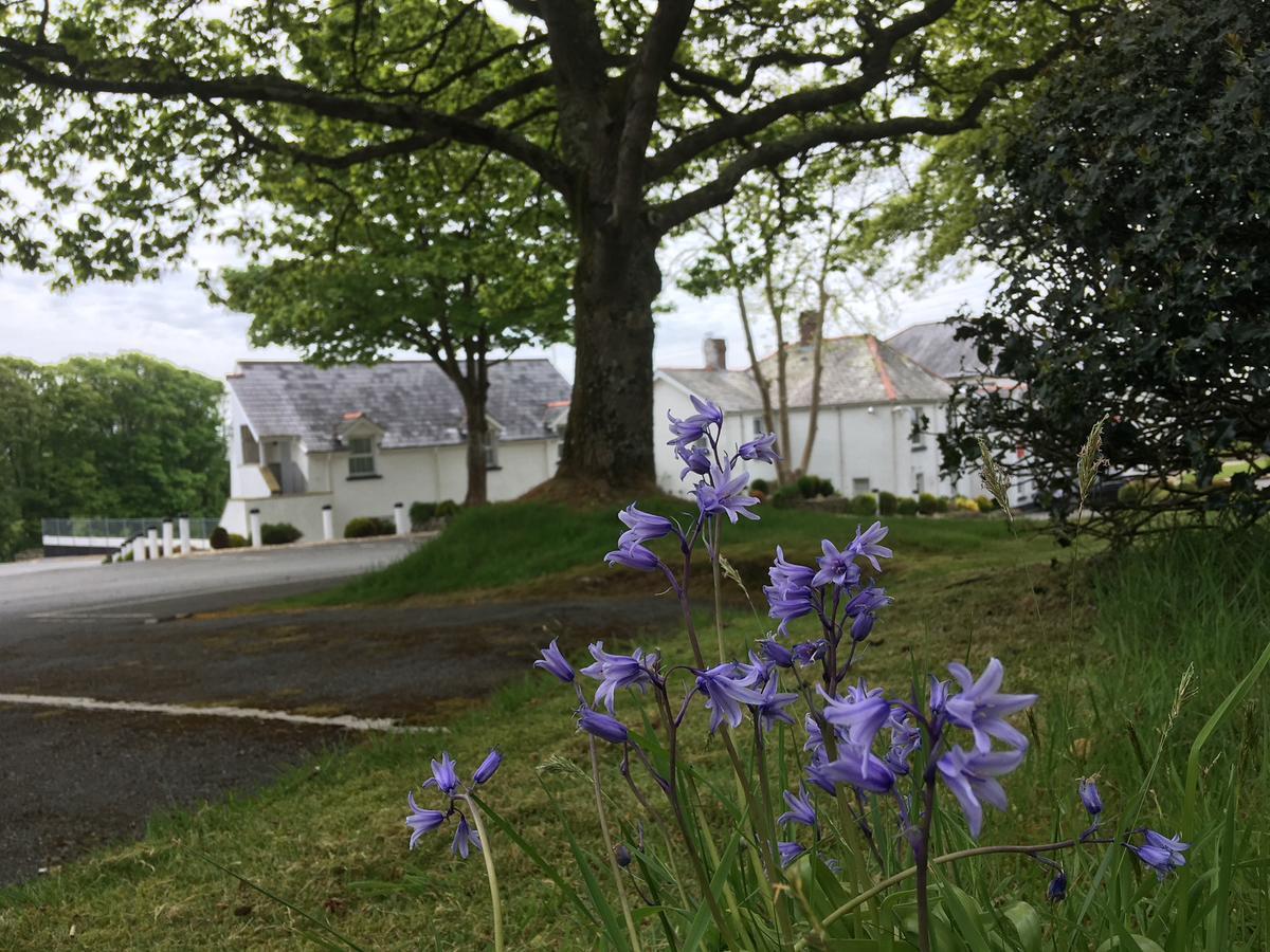 Beggars Reach Hotel Pembroke Dock Exterior photo